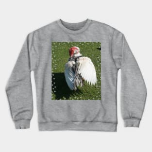 Muscovy Duck Crewneck Sweatshirt